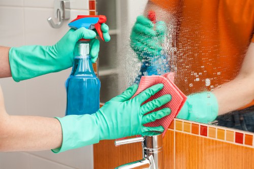 Professional pet stain odour removal on carpet in Notting Hill home