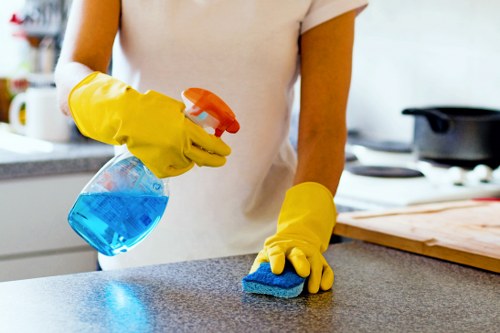 Professional sofa cleaning in a Notting Hill living room