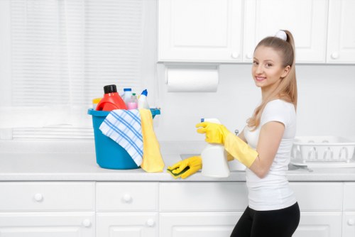Mattress deodorising and sanitising service in Notting Hill