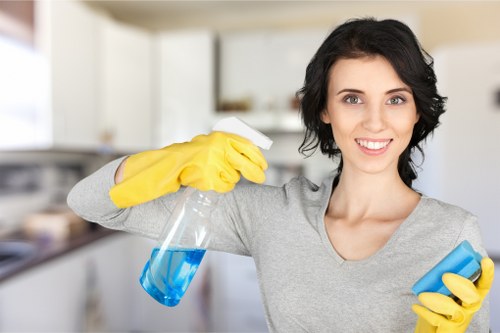 Cleaning pet odour from upholstery in a Notting Hill living room