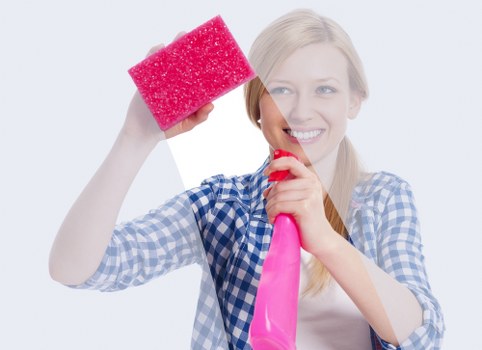 Deep cleaning carpet to remove pet urine smell in Notting Hill