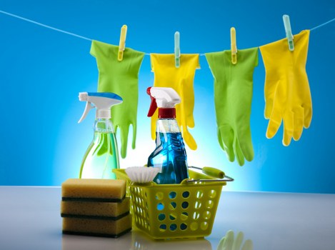 Specialist treatment for pet stain odour removal in Notting Hill