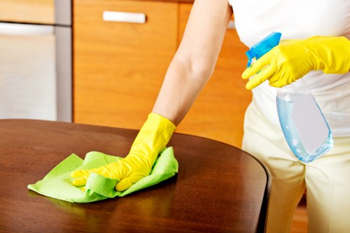 Dust removal from curtains in a stylish interior
